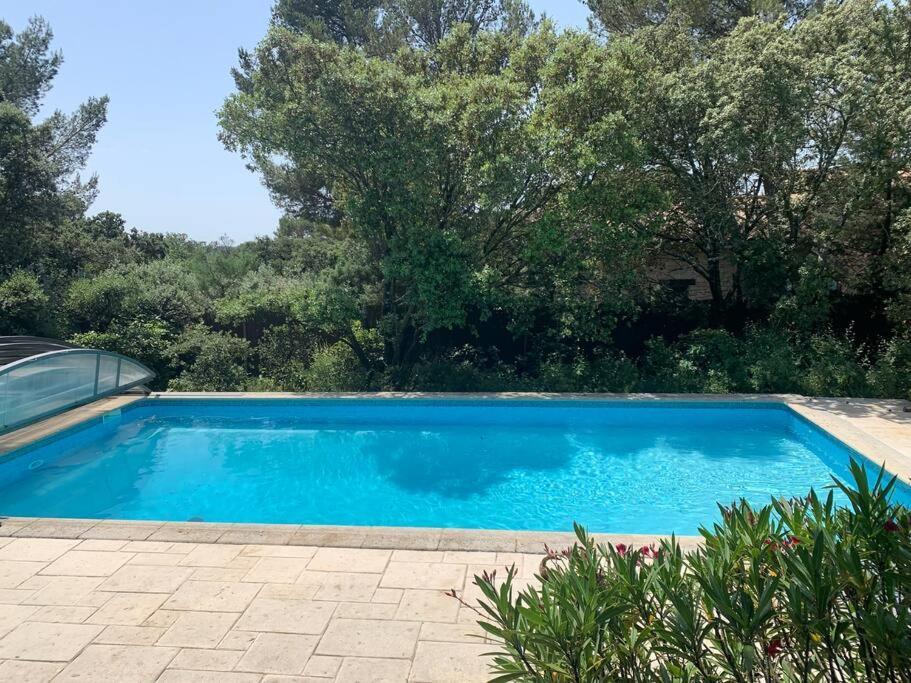 Studio En Rez-De-Jardin Arbore Avec Acces Piscine Et Clim Villeneuve-lès-Avignon Exterior foto